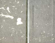 ����� �� ����������� ����