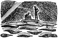 ���� �� ���������