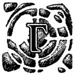 ����� «�» �� ����