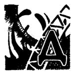 ����� «�» �� ���� �����������