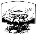 ������� �������