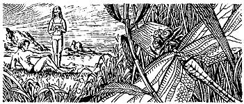 ����������, ����� � ��������