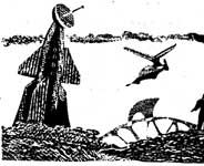 ������� � �������