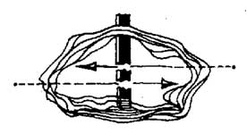 ���� � �������