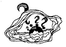 ��� � �������