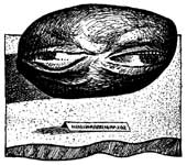 ����� ��������������