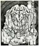 Мозги и техника