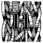 ����� «�» �� ���� ������������