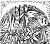 ��� � �����