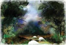 ���� ����