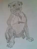 ����-����