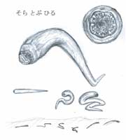 ����-����-����