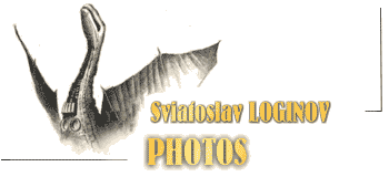 Photograph album of Russian science fiction author Sviatoslav Loginov