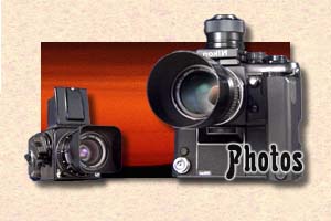 Photos of the Authors