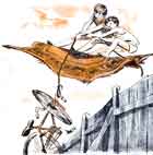 ������� ������� (87 ��)