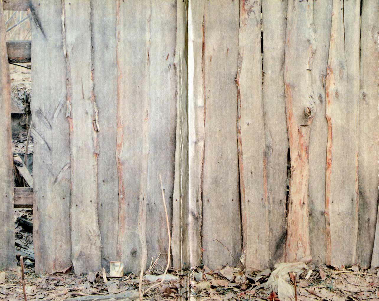 деревянный забор раст фото 105